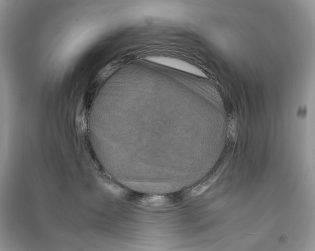 X0000090600431200708141335