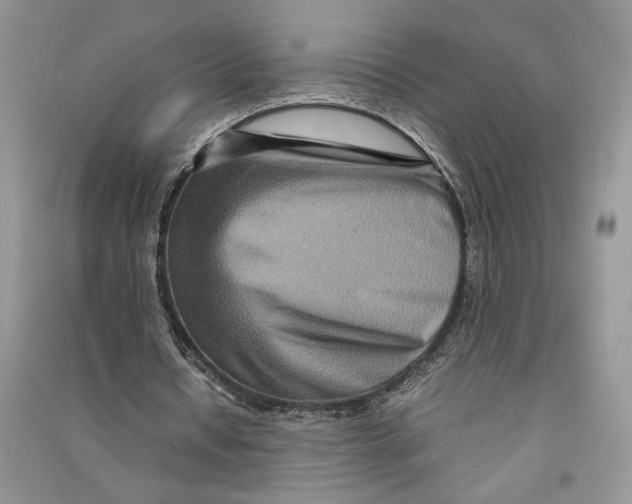 X0000090600434200708141334