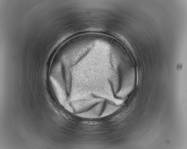 X0000090600435200708141334