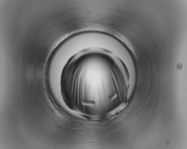 X0000090600436200708141334