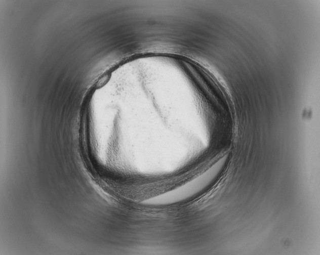 X0000090600437200708141334