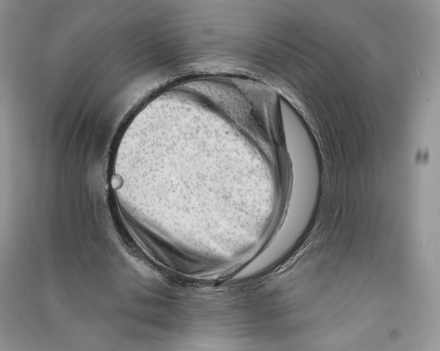 X0000090600438200708141334