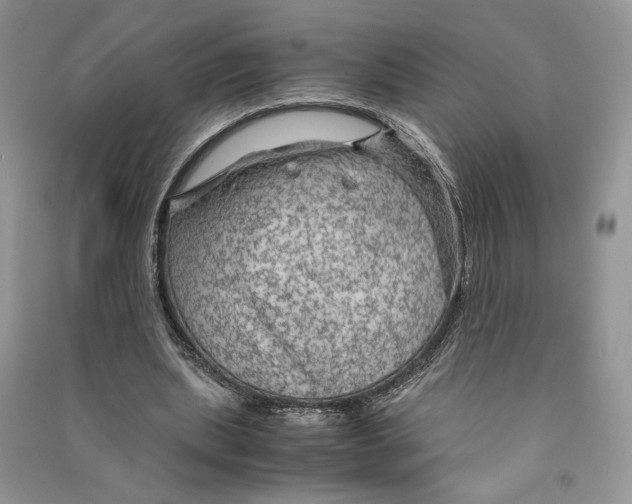 X0000090600439200708141334