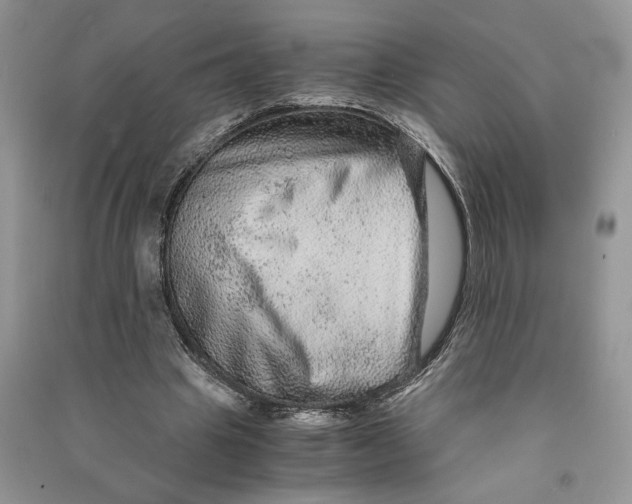 X0000090600441200708141334