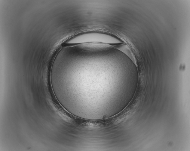 X0000090600442200708141334