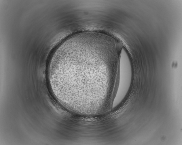 X0000090600443200708141334