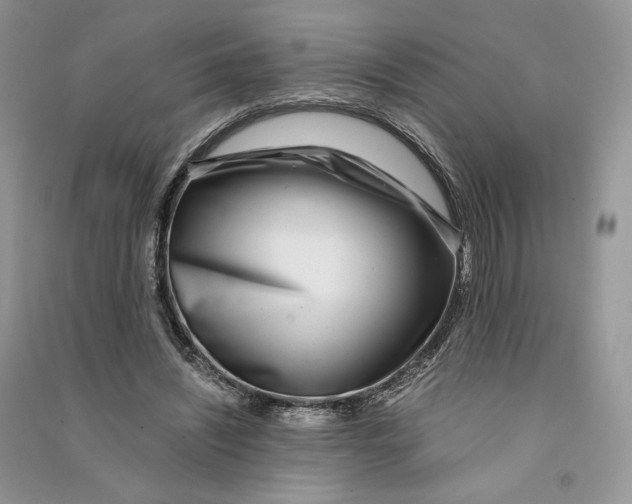 X0000090600444200708141334