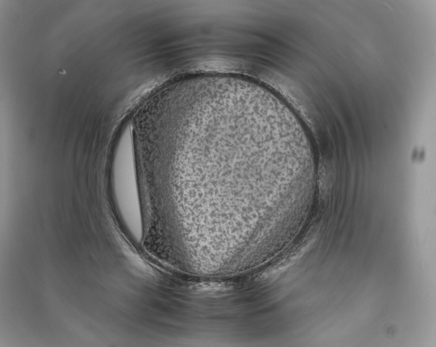 X0000090600445200708141334