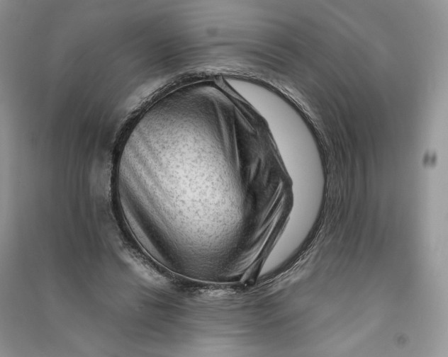 X0000090600446200708141334