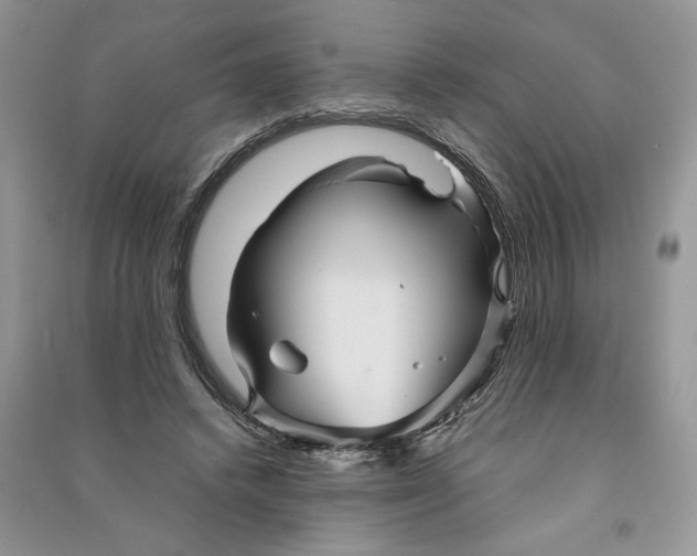 X0000090600448200708141334