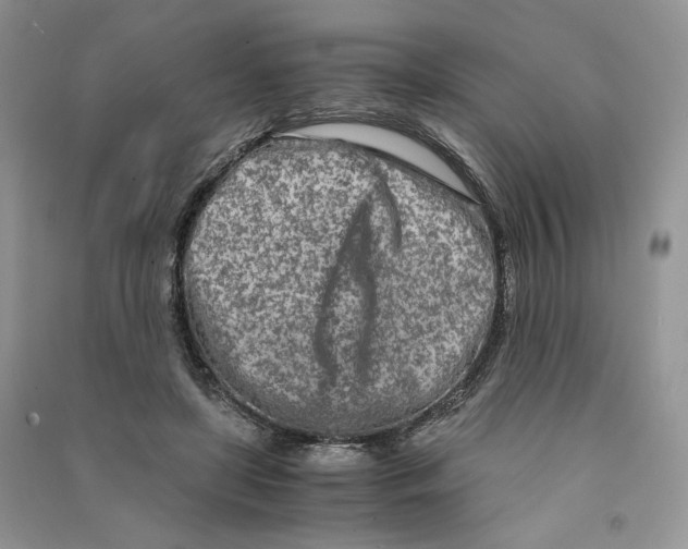 X0000090600451200708141334