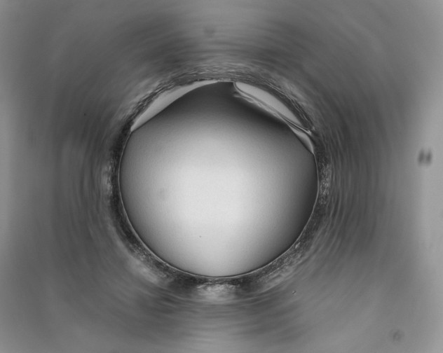 X0000090600452200708141334