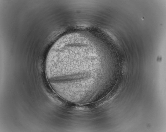 X0000090600455200708141334