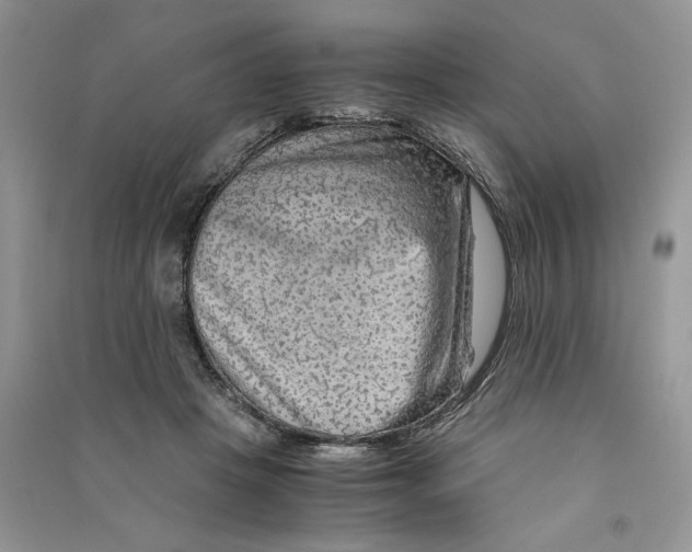 X0000090600457200708141334