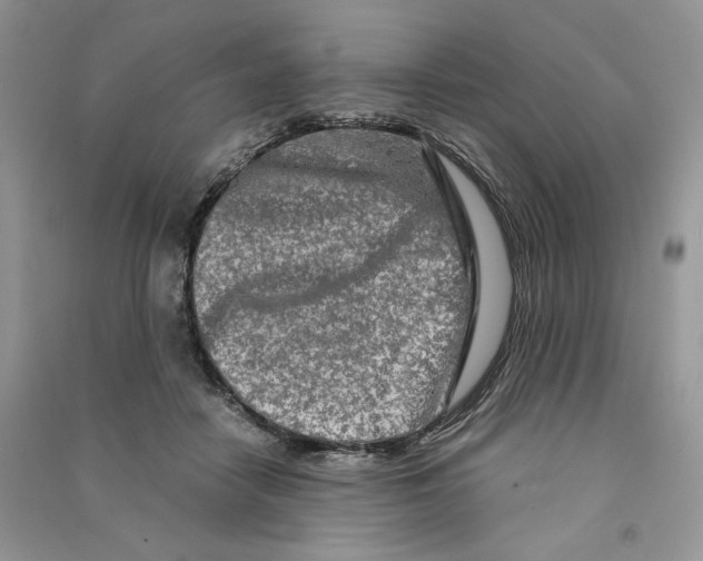 X0000090600458200708141334