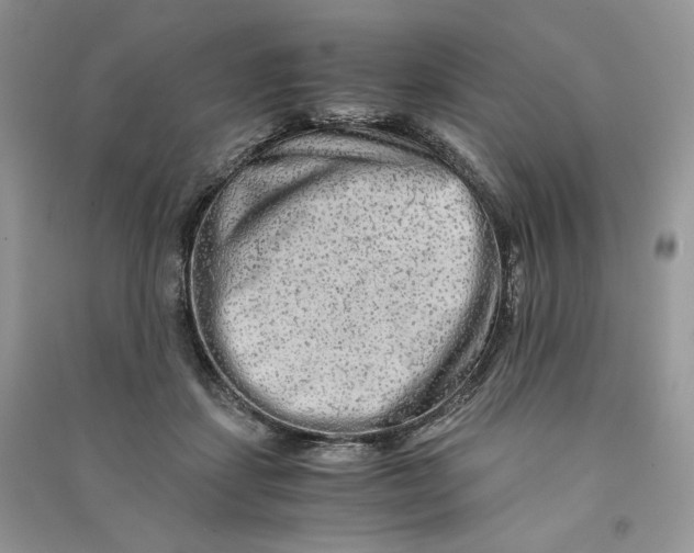 X0000090600459200708141334