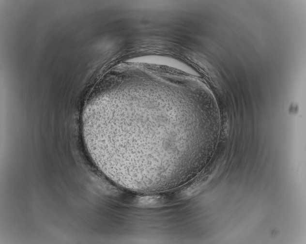 X0000090600461200708141334