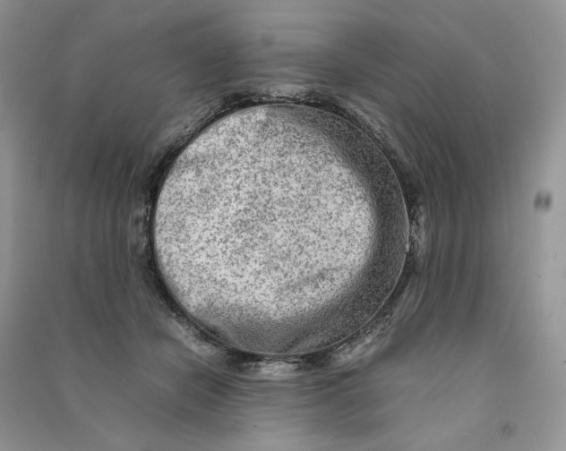 X0000090600462200708141334