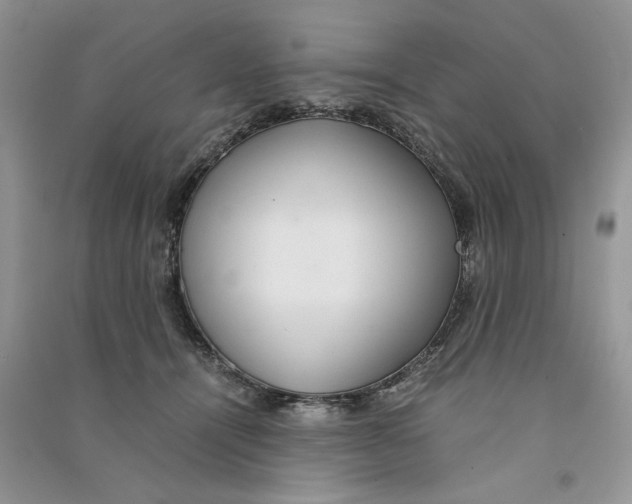 X0000090600464200708141334