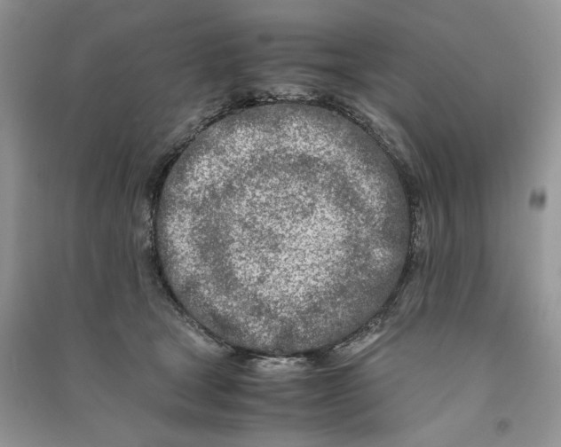 X0000090600465200708141334