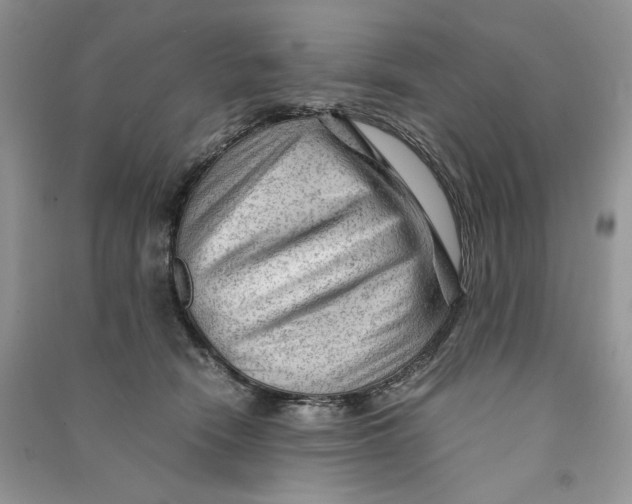 X0000090600466200708141334