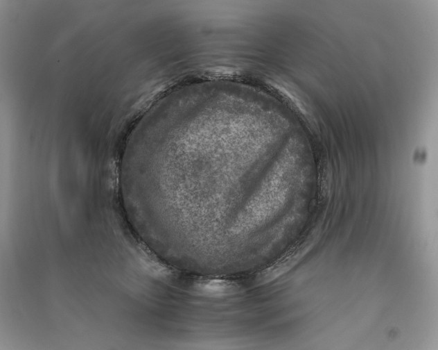 X0000090600467200708141334