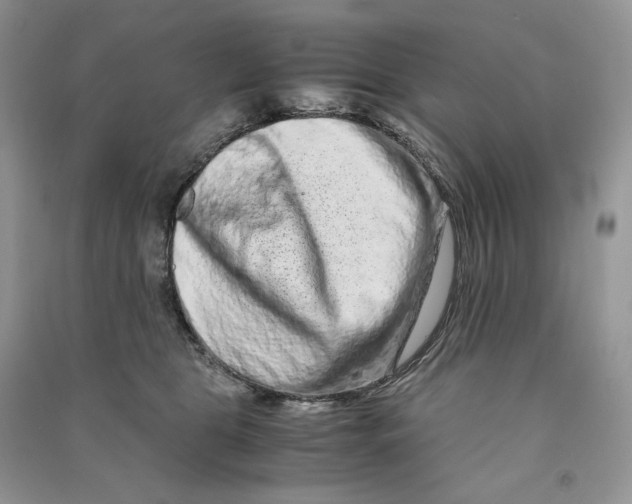 X0000090600469200708141335