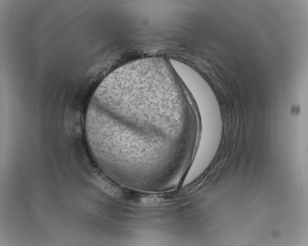 X0000090600470200708141335