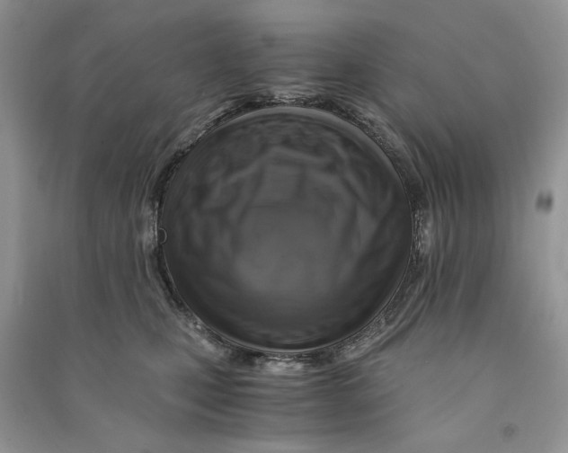 X0000090600471200708141335