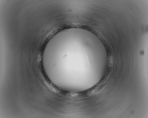 X0000090600472200708141335