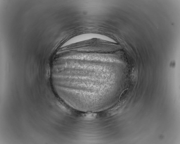 X0000090600474200708141335