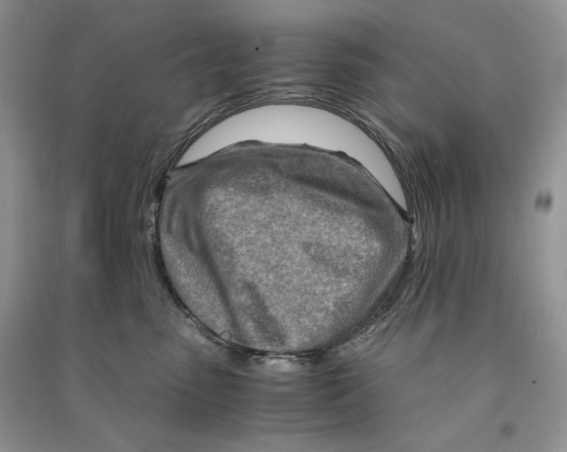 X0000090600475200708141335