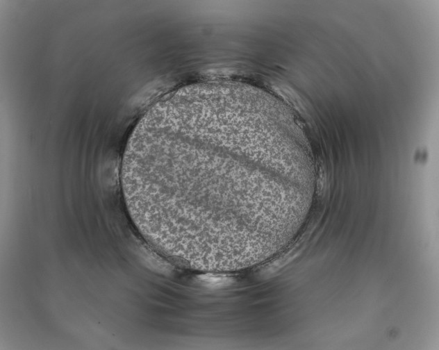 X0000090600477200708141335