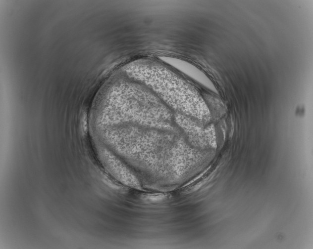 X0000090600479200708141335