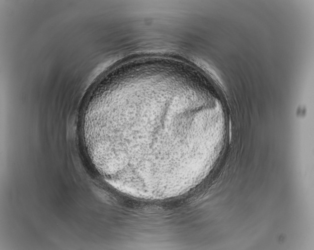 X0000090600483200708141334