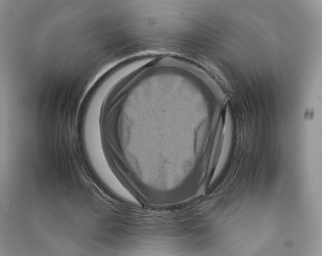 X0000090600484200708141334