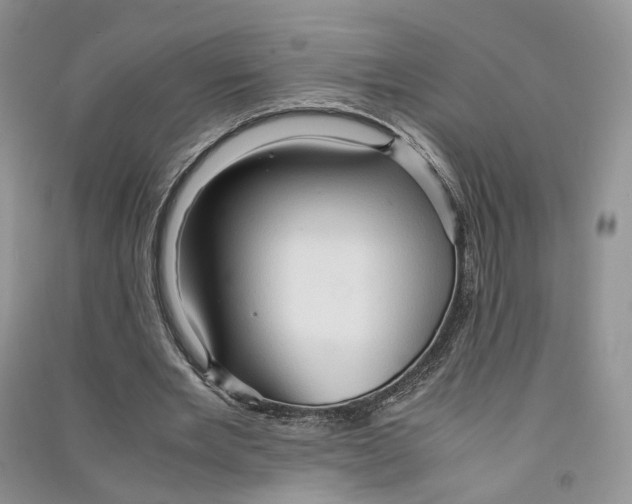 X0000090600485200708141334