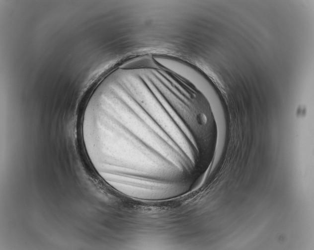 X0000090600486200708141334