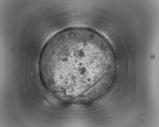 X0000090600487200708141334