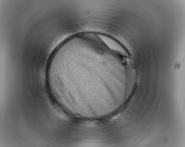 X0000090600488200708141334