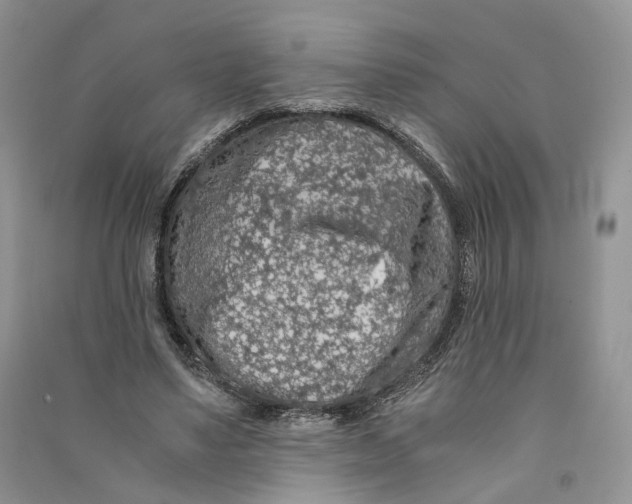 X0000090600491200708141334