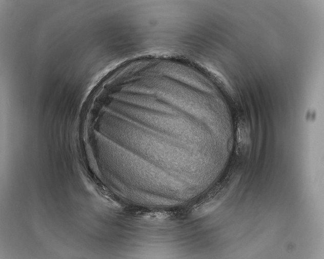 X0000090600492200708141334