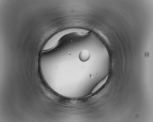 X0000090600493200708141334