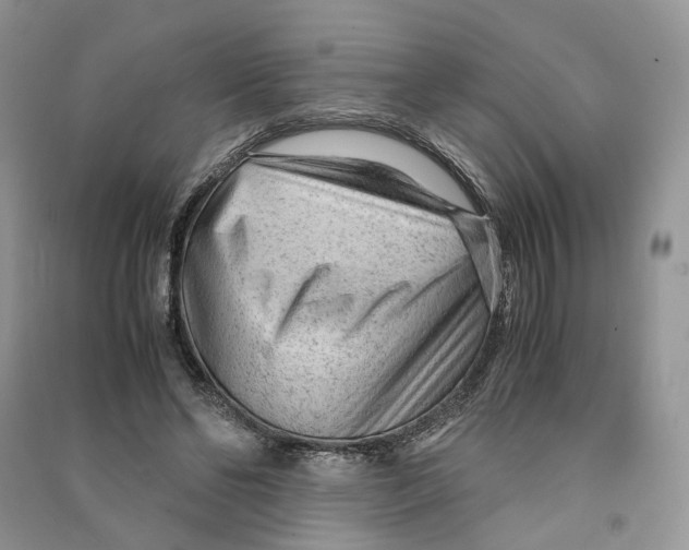 X0000090600494200708141334