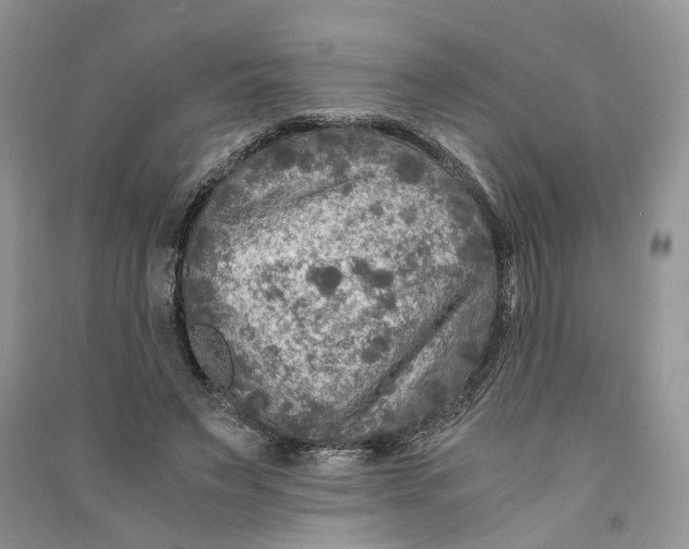 X0000090600495200708141334