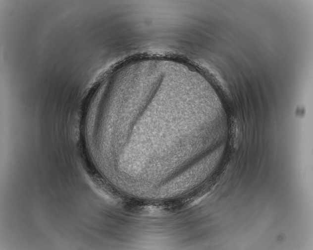 X0000090600496200708141334