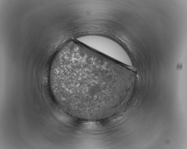 X0000090600499200708141334