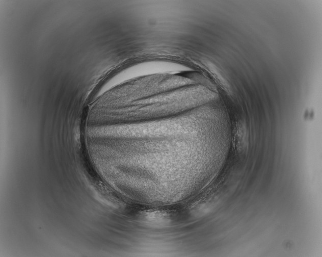 X0000090600500200708141334