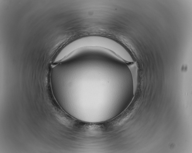 X0000090600501200708141334