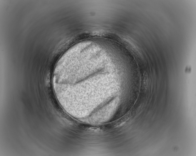 X0000090600502200708141334